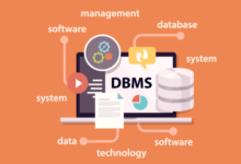 Database Management Services for Organized and Secure Data