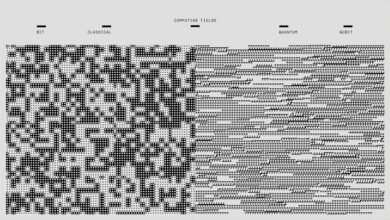 understanding intricate coding systems