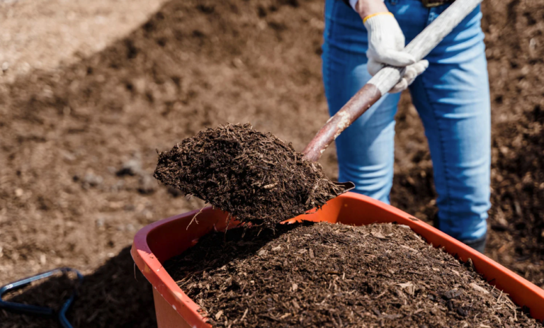 How to Avoid Common Mistakes When Ordering Topsoil