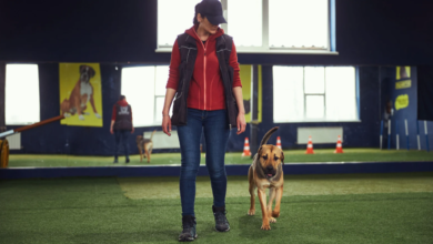 Reactive Dog Boarding: How Staff Training Makes All the Difference
