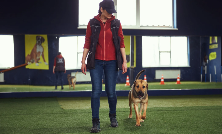 Reactive Dog Boarding: How Staff Training Makes All the Difference