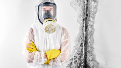 The Importance of Air Quality Testing During and After Mold Remediation
