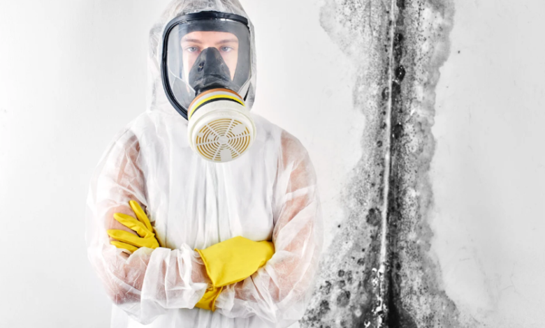 The Importance of Air Quality Testing During and After Mold Remediation