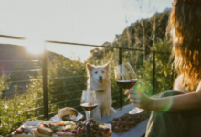 San Diego AirBnB Photographer – Elevating Your Rental Listing with Stunning Visuals