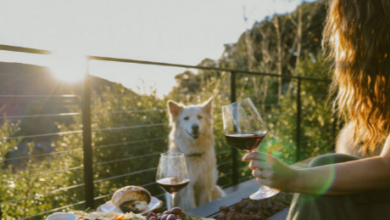 San Diego AirBnB Photographer – Elevating Your Rental Listing with Stunning Visuals