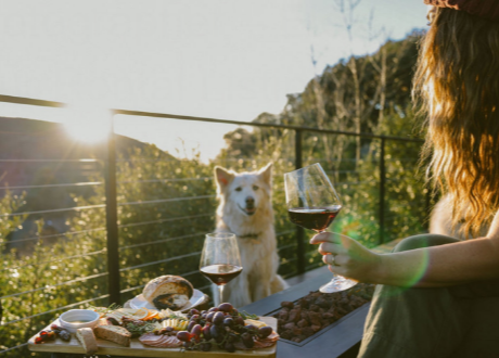 San Diego AirBnB Photographer – Elevating Your Rental Listing with Stunning Visuals