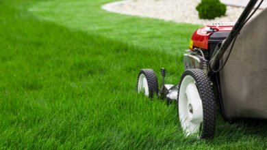The Ultimate Lawn Maintenance Calendar for Buffalo NY’s Seasons