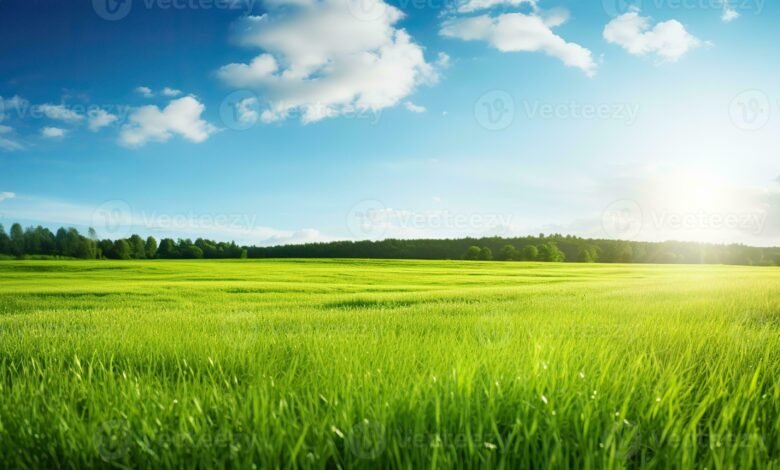 AI-Generated Grass and Skies: Are Buyers Noticing the Difference?