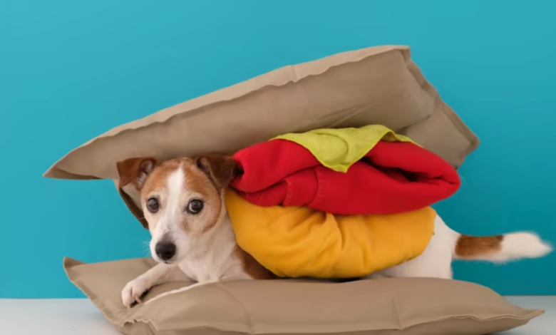 Memory Foam Pet Beds: Providing Comfort, Support, and Restful Sleep 