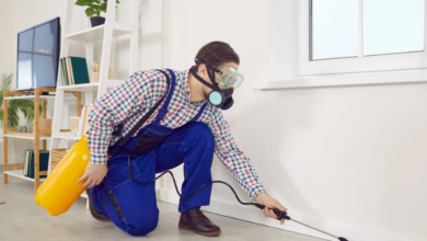 Why Professional Exterminators Are Essential for Controlling Centipedes in Workplaces