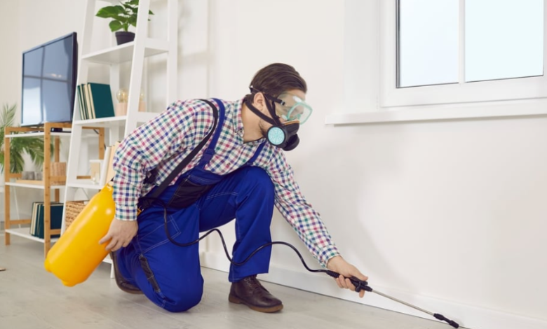 Why Professional Exterminators Are Essential for Controlling Centipedes in Workplaces