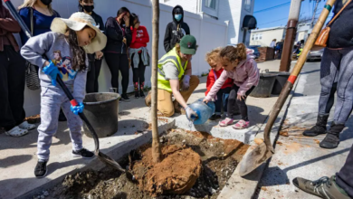 Ensuring Efficient Cooling in Urban Spaces