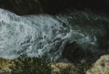 opportunity surge in nova