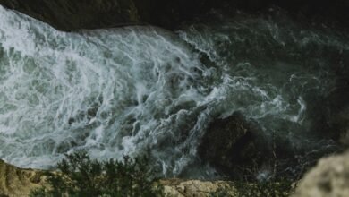 opportunity surge in nova