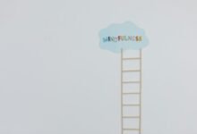 stellar apex growth ladder